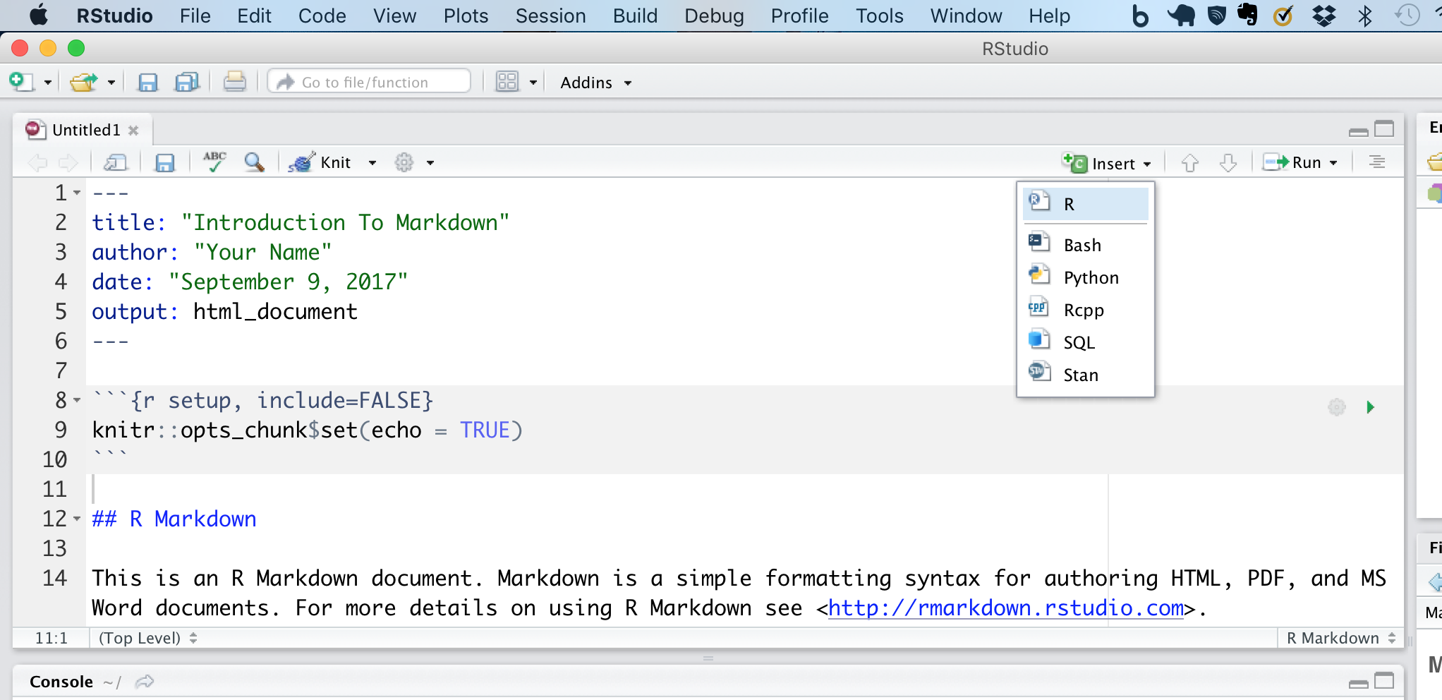 r markdown chunk options